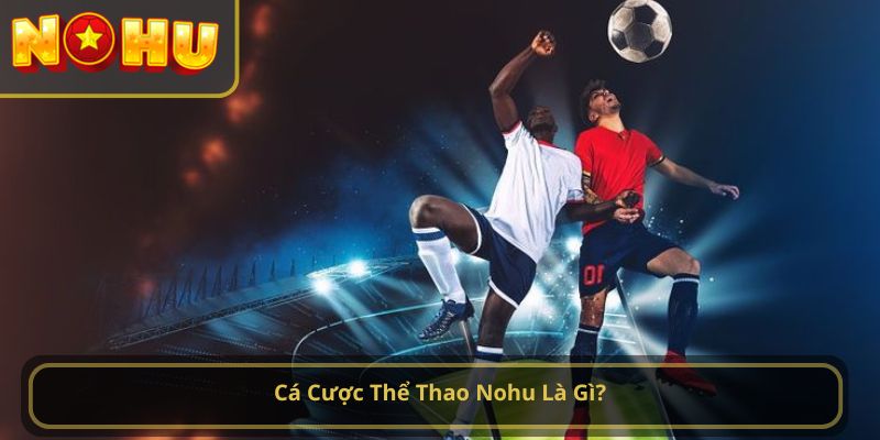 cá cược thể thao nohu