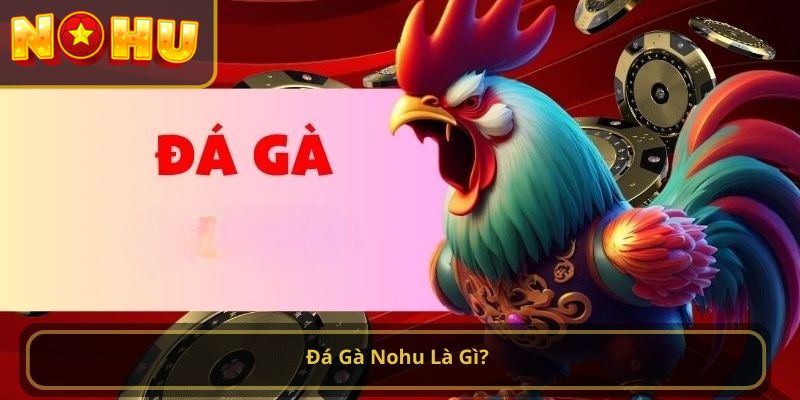 đá gà nohu