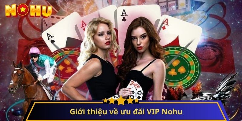 ưu đãi vip nohu