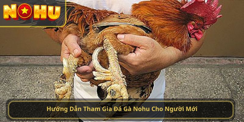đá gà nohu